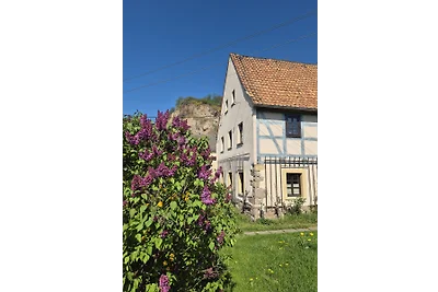 Apartment am Boselgarten