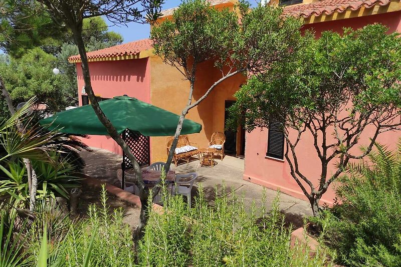 Hacienda mit Palmen, gepflegtem Garten und einladendem Hof.