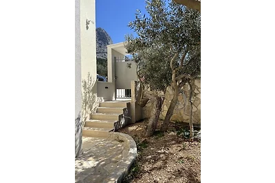 Villa Olivia