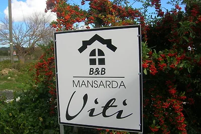Mansarda Viti - Sguardo su Frontone