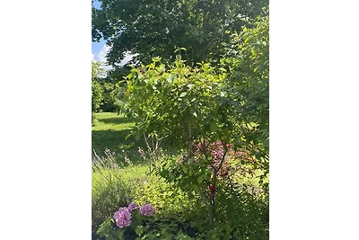 "Rehblick" mit Terrasse