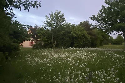 Rehblick