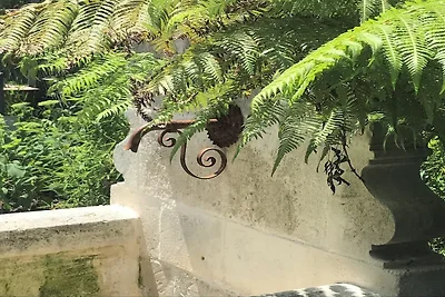 Orchidée