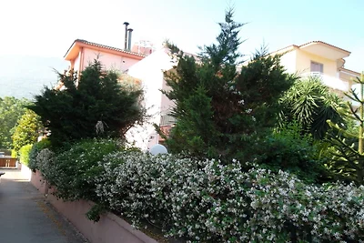 Casa Pina