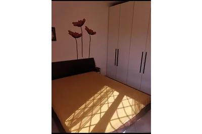 Domus Alegra