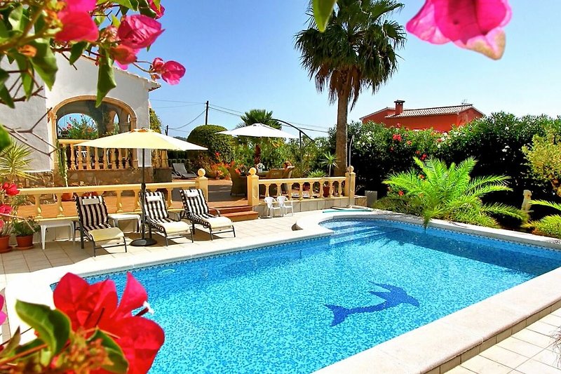 Villa mit Pool, Palmen und Sonnenliegen im tropischen Garten.