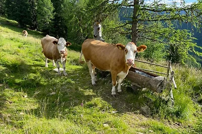 Adambauerhütte