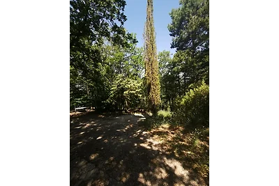 La Primelle