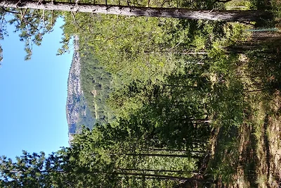 La Primelle