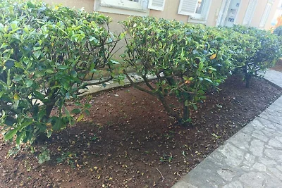 Apartman-Krk-Malinska-Vantacici