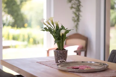 Ferienwohnung Schwalbennest