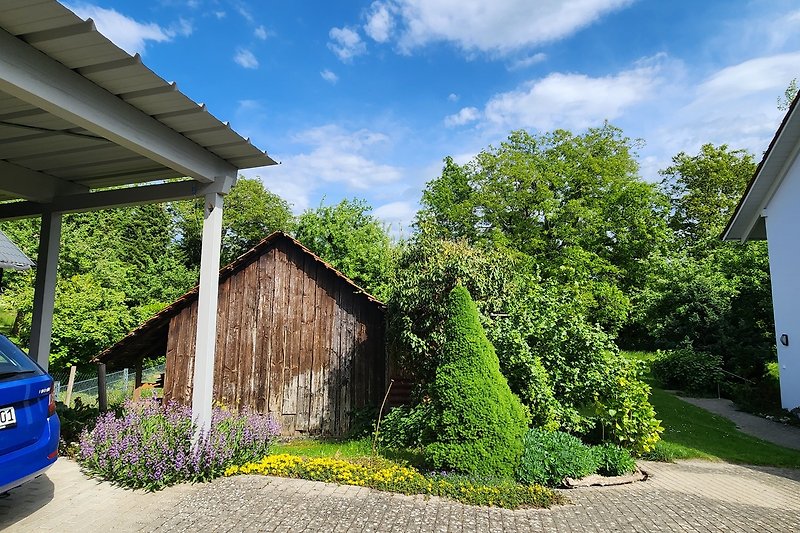 Vom Carport aus mit "kleinem Blick" in die "grüne Oase"