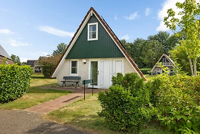 De Steenhoeve - 6 persoons vakantiehuis aan een visvijver op vakantiepark 't Hooge Holt