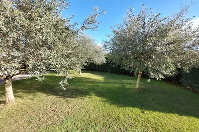 Appartamento a Lazise sul Lago di Garda con Piscina e Giardino