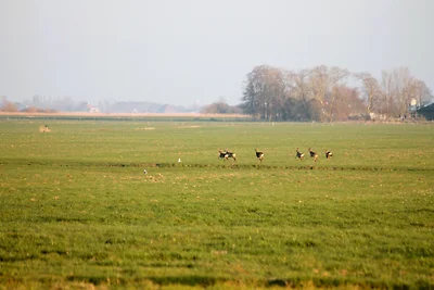 B&B de Friese Meren
