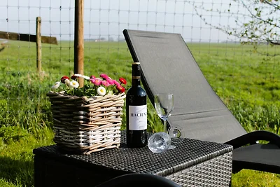 B&B de Friese Meren