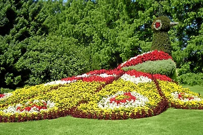 Ferienwohnung Seestern