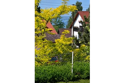 Ferienwohnung Seestern