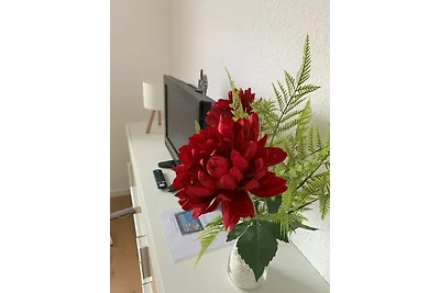 Ferienwohnung Brunken Rust