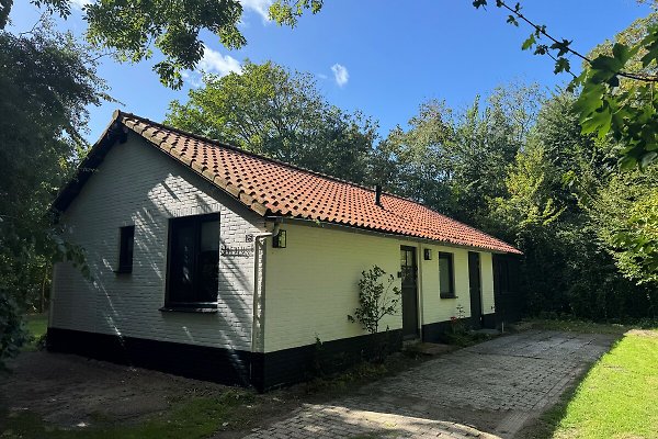 Ferienhaus Dishoek