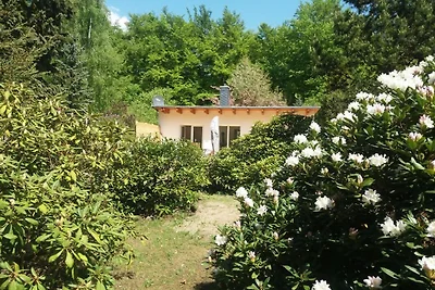 Ferienhaus Seensucht