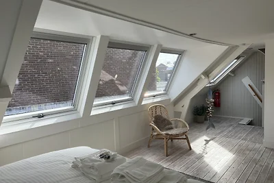 Zeemeeuw aan Zee