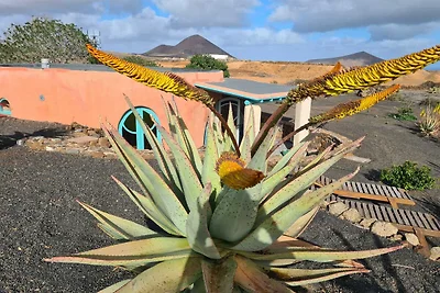 Casa Barronia