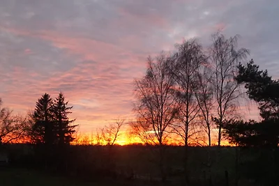 FeWo 01  Arbshagen