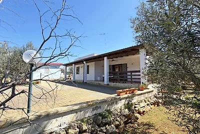 Villa Ulivo, 7 posti, giardino vicina al mare