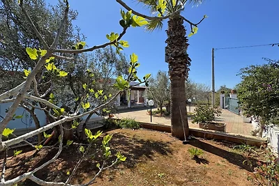 Villa Ulivo, 7 posti, giardino vicina al mare