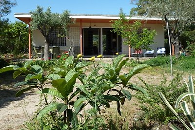 Casa Robinia