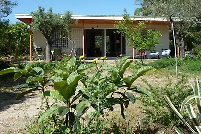 Casa Robinia