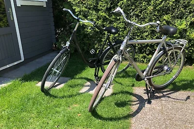 Rustgevend, gratis fietsen & parking, nabij bossen