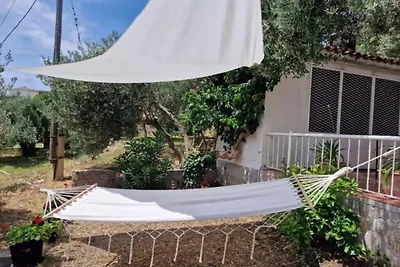 Apartment Panorama