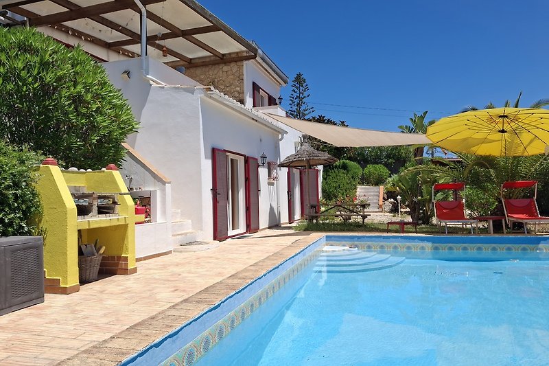 Apartment EG  mit Pool, Palmen, Sonnenliegen und schattigem Gartenbereich.