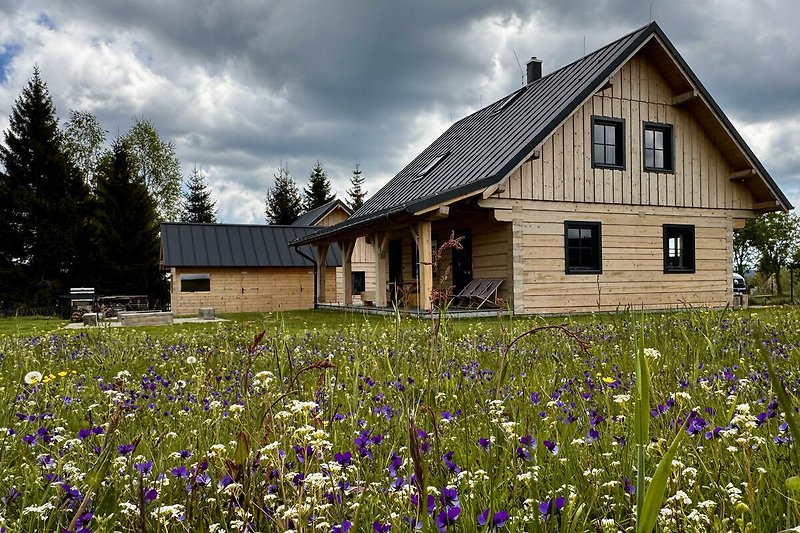 Ländliches Haus mit Satteldach und grüner Wiese.