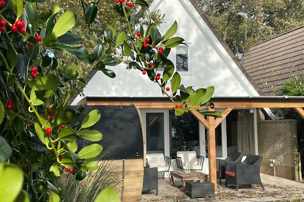 Ferienhaus Sint Maartensbrug