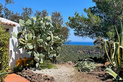 Casa vacanze Dorgali