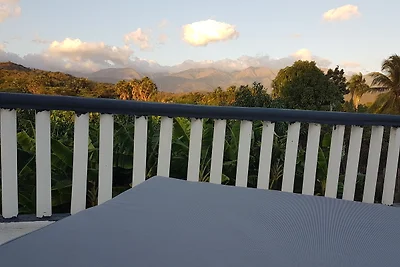Finca im Grünen