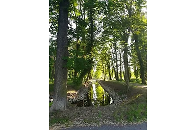 Haus am Wald