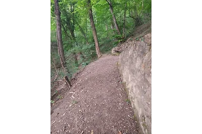 Haus am Wald