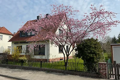 Ferienwohnung im Aller-Leine-Tal, Lüneburger Heide