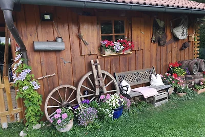 Alpenchalet Sonnenröschen