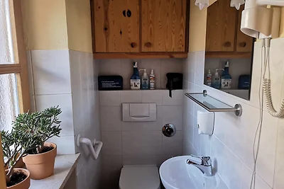 Alpenchalet Sonnenröschen