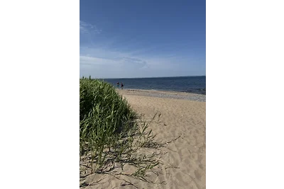 Ferienhaus Strandzeit