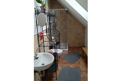 Große Wohnung - Cottbus & Spreewald