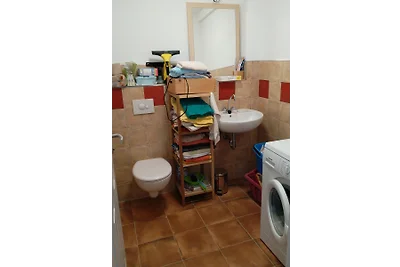 Große Wohnung - Cottbus & Spreewald