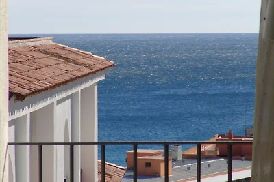 Los Cedros