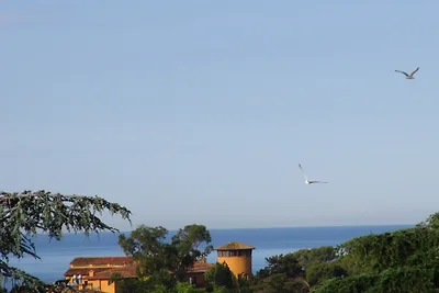Los Cedros