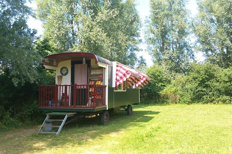 Wohnmobil mit Vorzelt im schattigen Garten, Tisch im Freien.